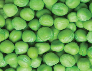 green chana